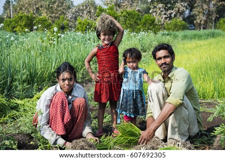 Indian farmer with family working in onion field, Maharashtra, India.