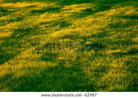 A field of grass with patches of light and shadow.