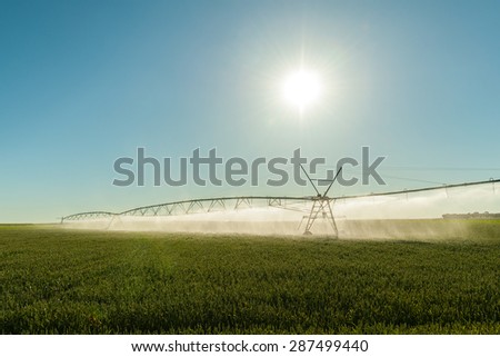 expelling water irrigation backlit on green field