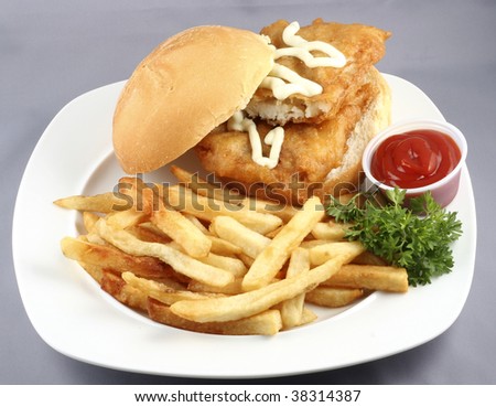 burger and fries with tomato ketchup in a plate