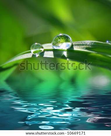 Green Backgrounds on Green Background With Grass Stock Photo 10669171   Shutterstock