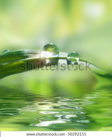 green background with grass