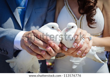 white wedding pigeons in the hands of married