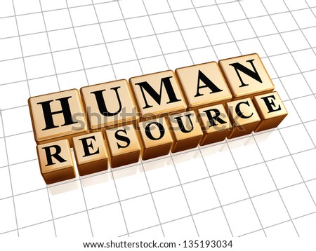 human resources - text in 3d golden cubes with black letters, business concept