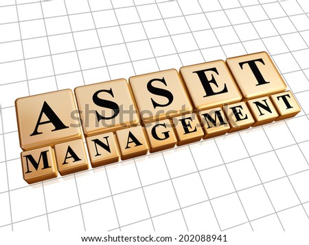 asset management - text in 3d golden cubes with black letters, business financial operation concept