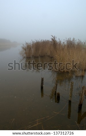 River in the fog, West of France
