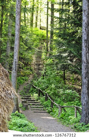 steps in the woods climbing up the hill, dense forest, wood construction
