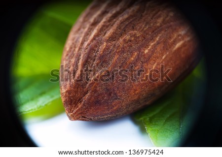 almonds with green leaves, vegetarian food, healthy lifestyle