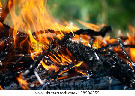 Dry logs are burning in the fire, black ash