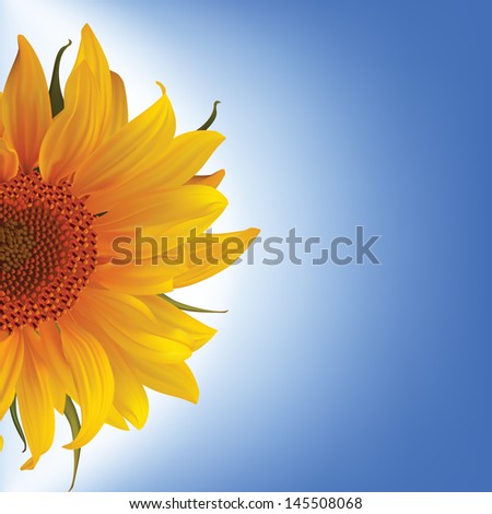 sunflower vector flower blue sky nature illustration yellow summer bright beautiful natural flora