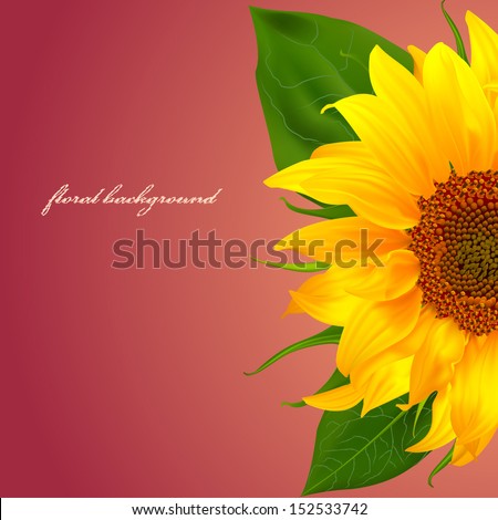 sunflower vector flower nature background yellow summer bright flora beautiful