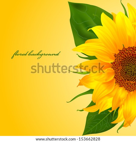 sunflower vector flower background yellow summer bright flora beautiful