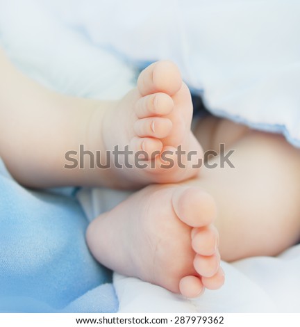 Close-up of the feet of 3-month old baby/Baby feet/Baby Feet