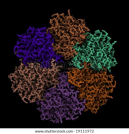 Protein complex