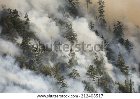 Billowing smoke from a forest fire (Lodge Fire, California, August 2014).
