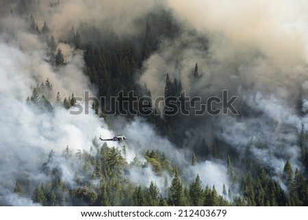 Mendocino County, Northern California August 13, 2014 - Fire fighting helicopter surveys Lodge Fire, near Legget.