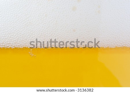 beer bubbles. glass of beer - close up shot.