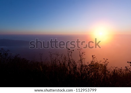 City of the Coast Mountains, The beautiful Sunrise on mist at Phu Ruea National Park, Thailand
