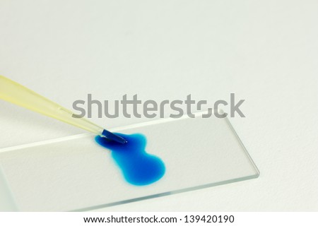Blue liquid on a microscope slide/Microscope slide/Isolated