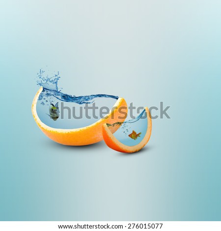 Creative orange fruit slice aquarium photo manipulation/Juicy orange fruit slice/Creative design