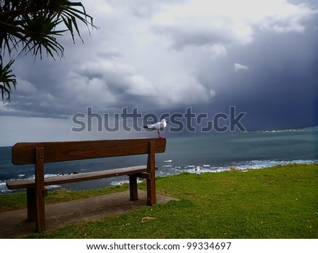 Before the storm is a photo of a seagull sitting on a park bench looking over the ocean at the incoming storm.
