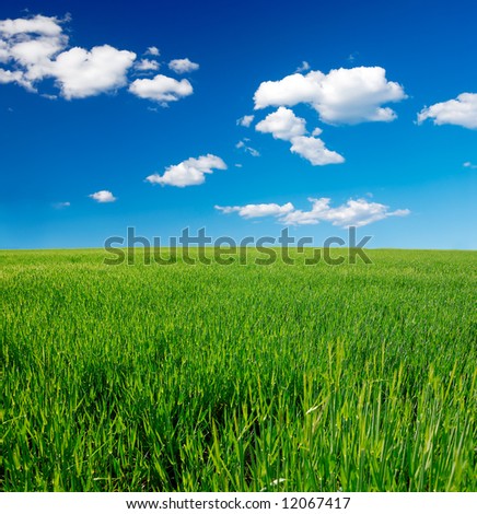 Squared composition of a nice grass field under clouds and blue sky
