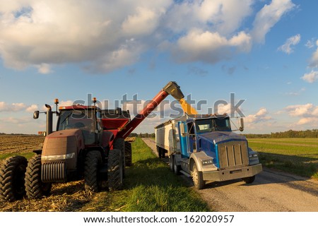 Loading crop of corn to Semi Truck from combine harvester after harvest