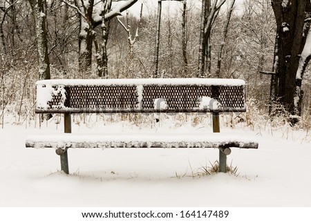Alone park bench at the park in the Winter
