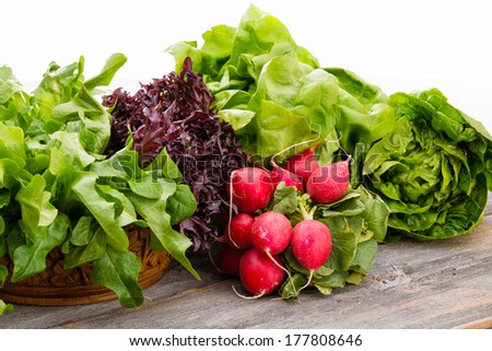 Healthy fresh salad ingredients displayed on old weathered wooden boards with several varieties of leafy green lettuce and a bunch of crisp peppery radish over a white background with copy space