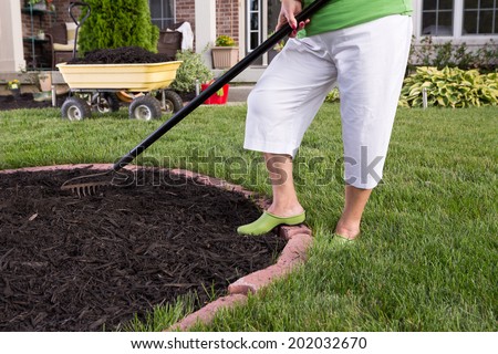 Close up view of the legs of a senior woman in white pants mulching a flowerbed spreading the mulch with a rake