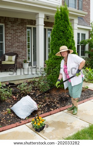 Elderly lady preparing a flowerbed in the front yard for planting raking up leaves and weeds as she prepares to plant her tray of seedlings