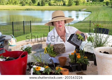 Senior lady gardener repotting houseplants removing them from the containers they have outgrown and combining them into large ornamental planters on her outdoor patio