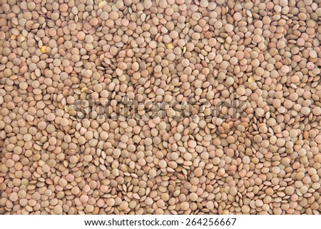 Food and cookery background of healthy dried brown lentils, Lens culinaris, a nutritious legume and pulse rich in vitamin B1 and folic acid