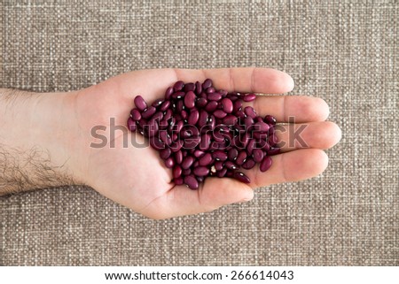 Man displaying small deep red kidney beans, fat free and rich in protein and dietary fiber, in the palm his hand over a beige fabric with weave texture