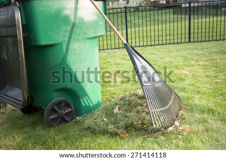 Raking up grass cuttings in spring during yard maintenance with a heap of clippings and a tined rake standing on a neatly manicured lawn alongside a plastic wheelie bin for composting