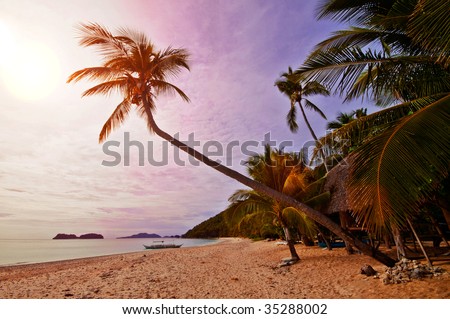 Exotic Tropical Beach