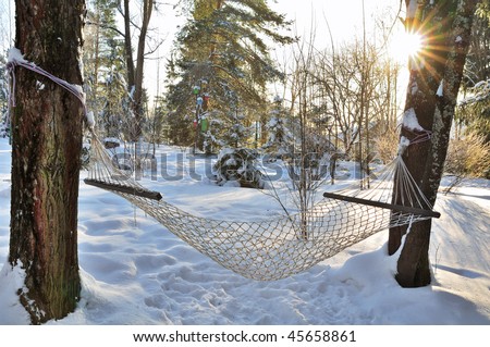 Hammock hanging in winter forest on a clear Sunny Day