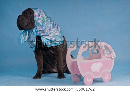 Black Shar-Pei Dog Babysitting and protecting the baby cot