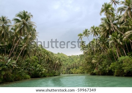 Large tropical river with palm trees on both shores