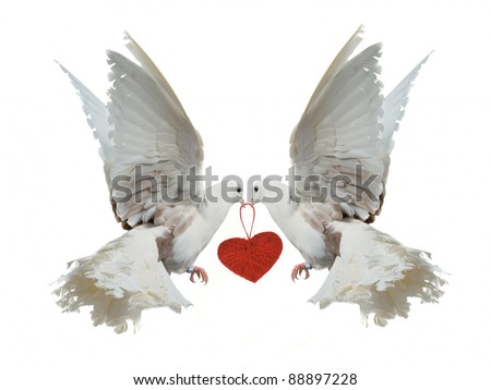 doves holding heart