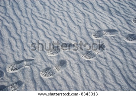 Traces of little feet on a white rippled sand. Step-by-step in one direction
