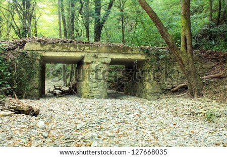 Abandoned bridge in mountain forest in the morning time