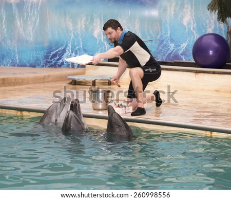 RUSSIA, ROSTOV-ON-DON - FEBRUARY 1- Dolphin -Mom is preparing to make a print of lips in the picture under the guidance of the trainer in the Rostov dolphinarium on February 1, 2015 in Rostov-on-Don