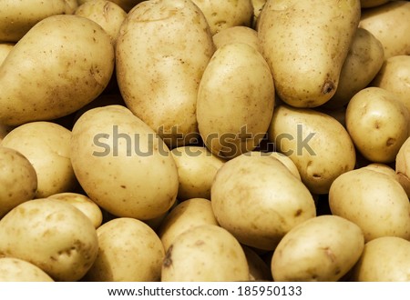 White Potato background. Food background. Group of potatoes on display at the market.