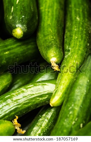 Fresh green cucumber collection on market close up.  Cucumber  background. Food background.
