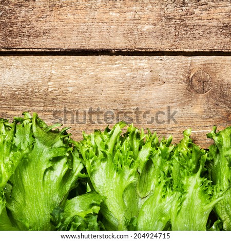 Fresh  Salad on wooden background.  Diet Food and healthy lifestyle concept. Lettuce Salad background with copyspace.
