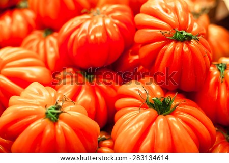Background with fresh red tomatoes. Ripe big tomatoes in market close up.