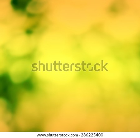 Summer Natural Yellow blurred background. Blurred nature background with Bright Sunlight. Spring Background with selective focus