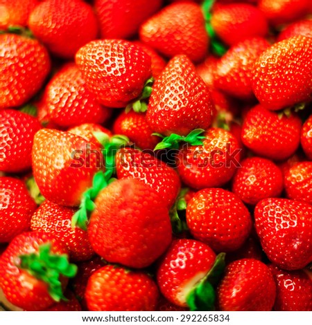 Strawberry  background on a market stall close-up. Food healthy backdrop full frame