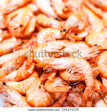 Unshelled tiger shrimps as gourmet seafood macro. Group of Shrimp cocktail background over white Ice close up.